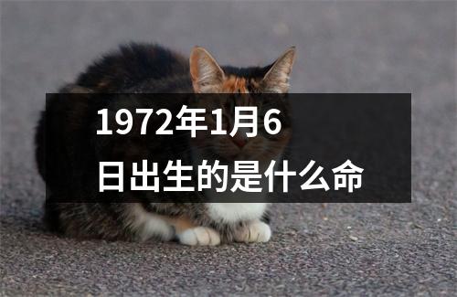 1972年1月6日出生的是什么命