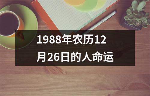 1988年农历12月26日的人命运