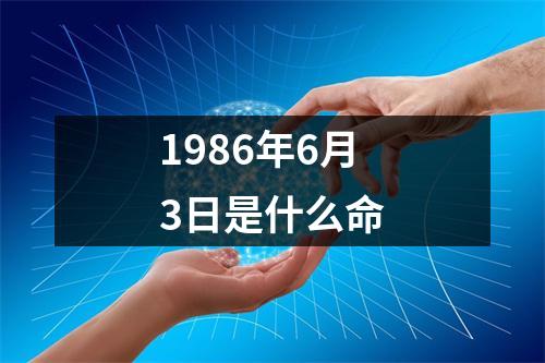 1986年6月3日是什么命