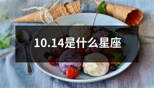 10.14是什么星座