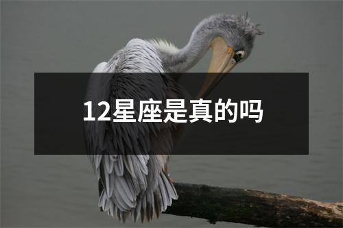 12星座是真的吗