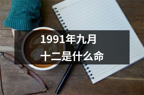 1991年九月十二是什么命