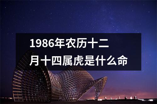 1986年农历十二月十四属虎是什么命