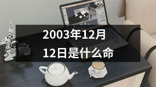 2003年12月12日是什么命