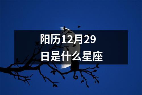 阳历12月29日是什么星座