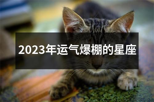 2023年运气爆棚的星座