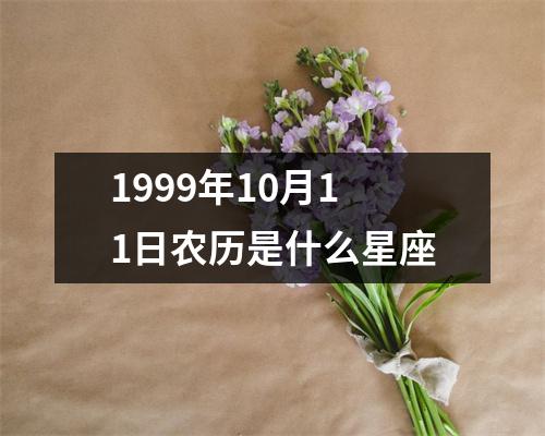 1999年10月11日农历是什么星座