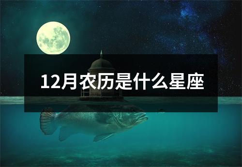 12月农历是什么星座