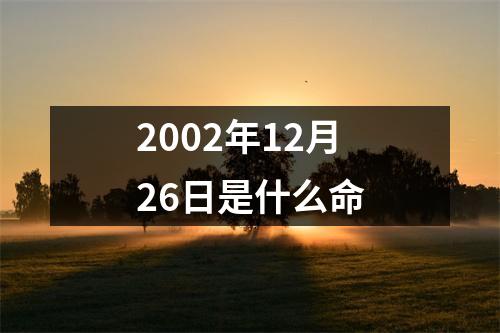 2002年12月26日是什么命