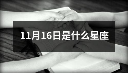 11月16日是什么星座