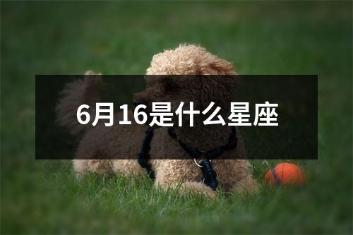 6月16是什么星座