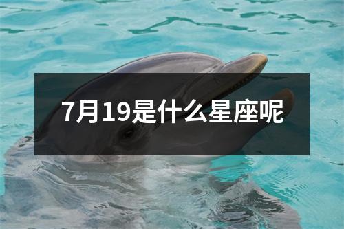 7月19是什么星座呢