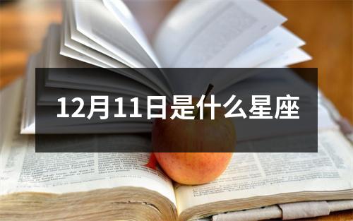 12月11日是什么星座