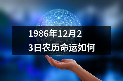 1986年12月23日农历命运如何