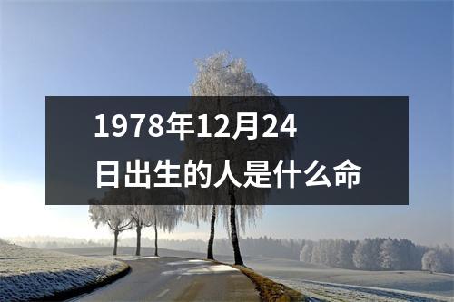 1978年12月24日出生的人是什么命