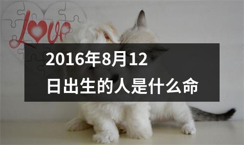 2016年8月12日出生的人是什么命