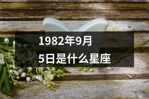 1982年9月5日是什么星座