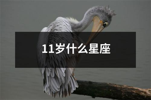 11岁什么星座