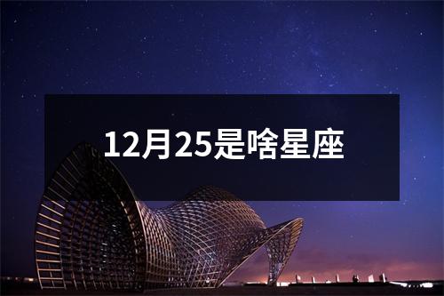 12月25是啥星座