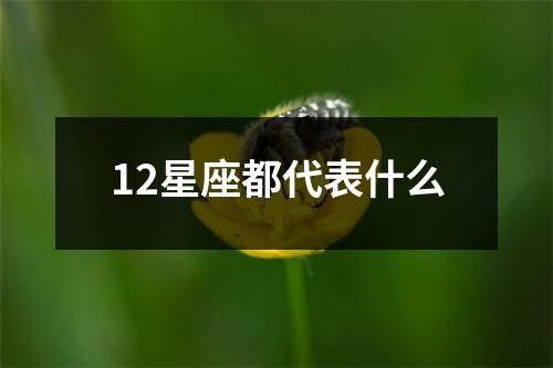 12星座都代表什么