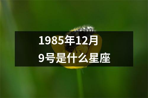 1985年12月9号是什么星座