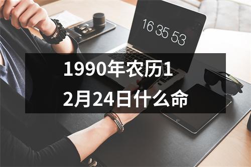 1990年农历12月24日什么命