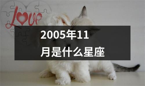 2005年11月是什么星座