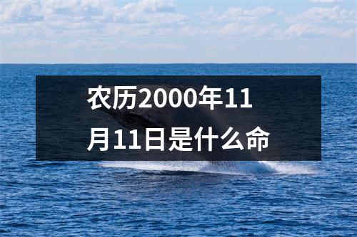 农历2000年11月11日是什么命