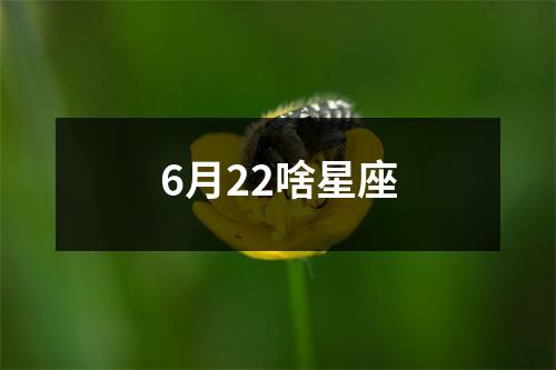 6月22啥星座