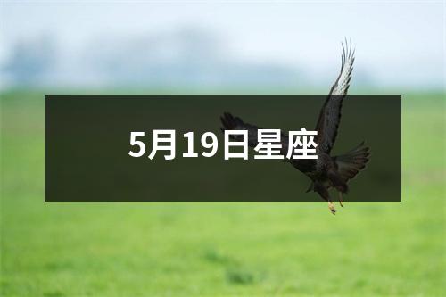 5月19日星座