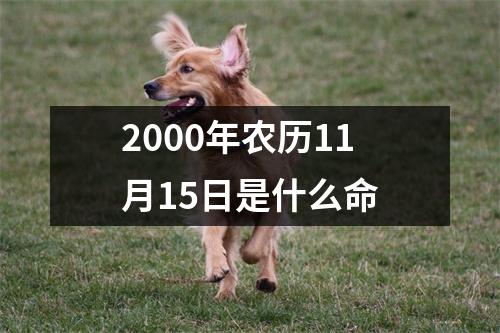 2000年农历11月15日是什么命