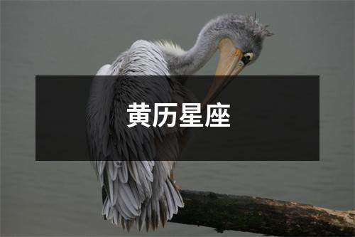 黄历星座