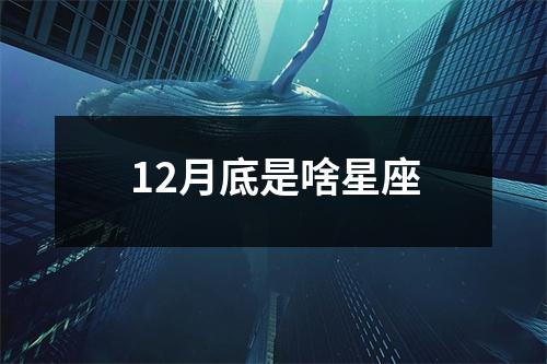 12月底是啥星座