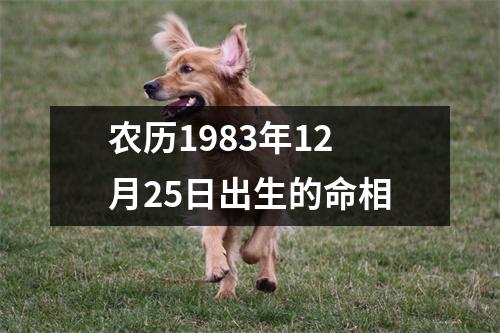 农历1983年12月25日出生的命相