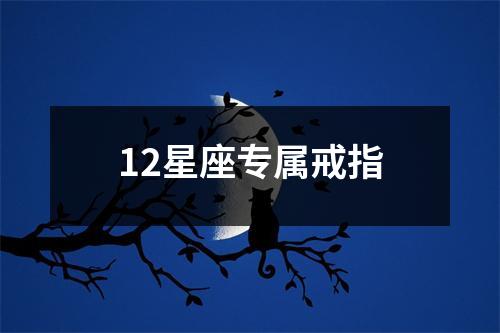 12星座专属戒指