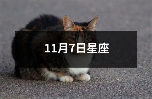 11月7日星座