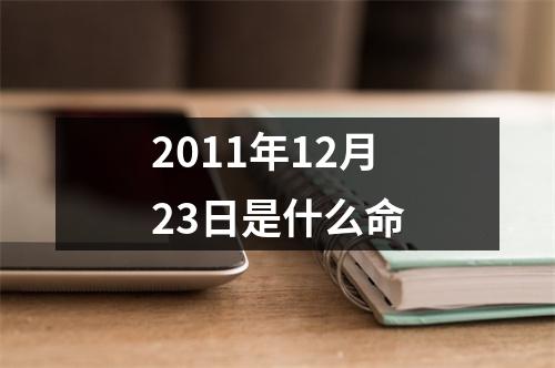 2011年12月23日是什么命