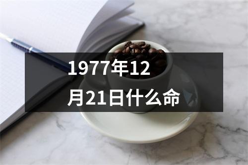 1977年12月21日什么命