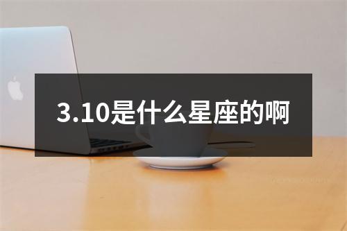 3.10是什么星座的啊