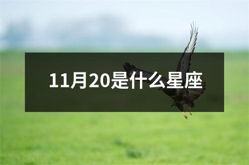 11月20是什么星座