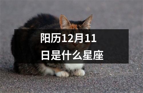 阳历12月11日是什么星座