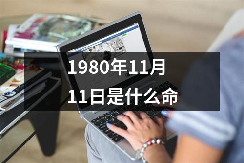 1980年11月11日是什么命