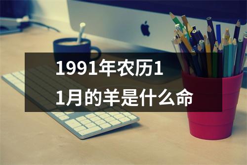 1991年农历11月的羊是什么命