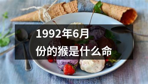 1992年6月份的猴是什么命