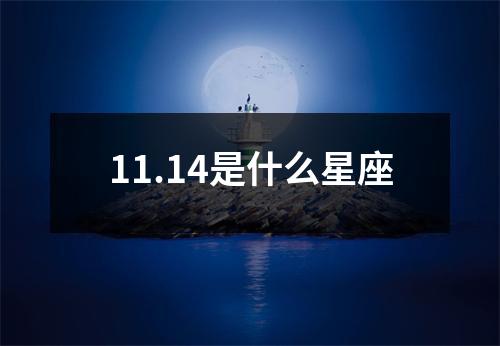 11.14是什么星座