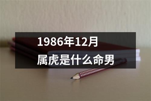 1986年12月属虎是什么命男