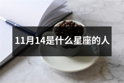 11月14是什么星座的人