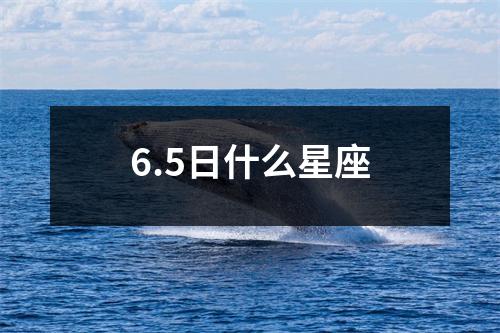 6.5日什么星座