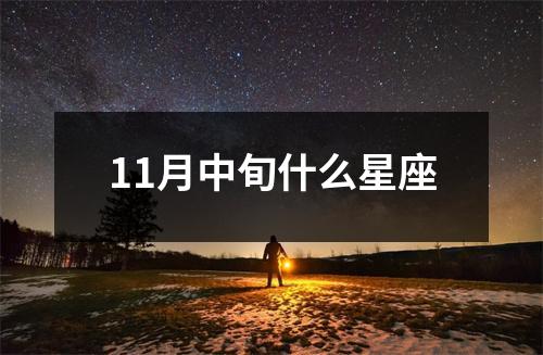 11月中旬什么星座