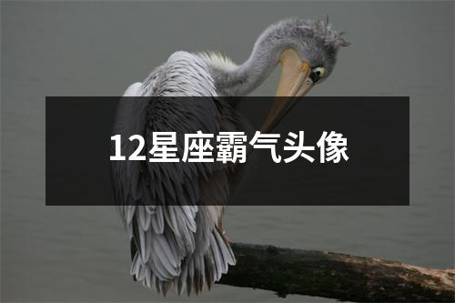 12星座霸气头像